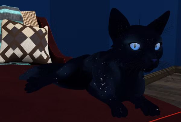 Galaxy Littlepaws, a small, space-themed cat, sitting on a red lounge